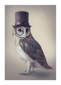 Poszter Potter Owl